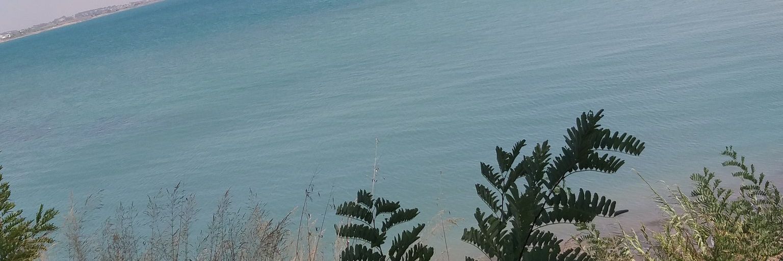 NurullahBarulay's profile banner image