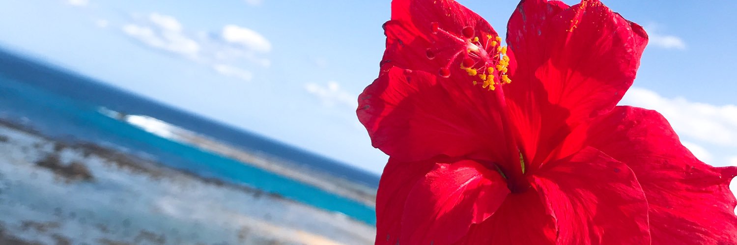 mncy35's profile banner image