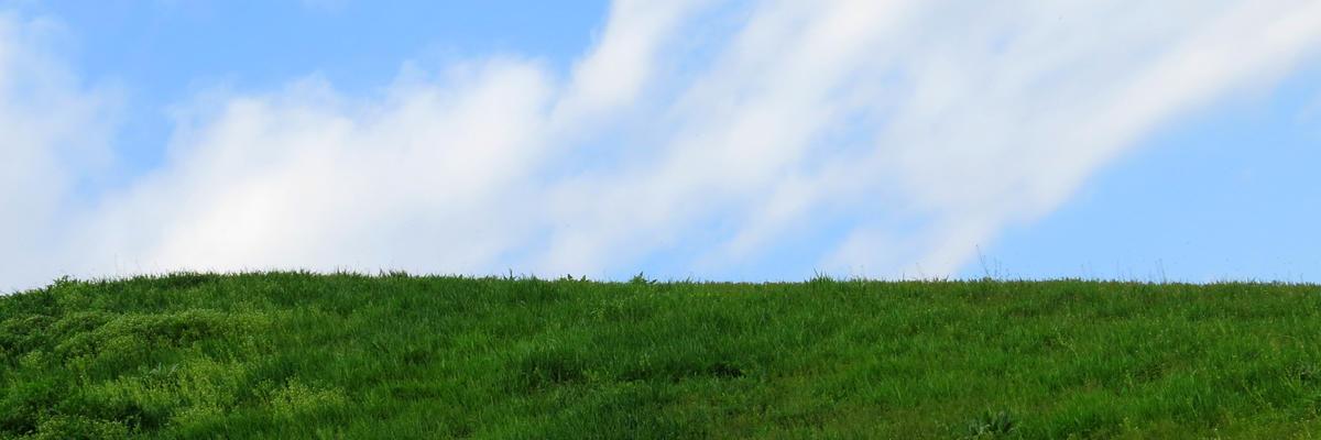 Maci Nazzarini banner
