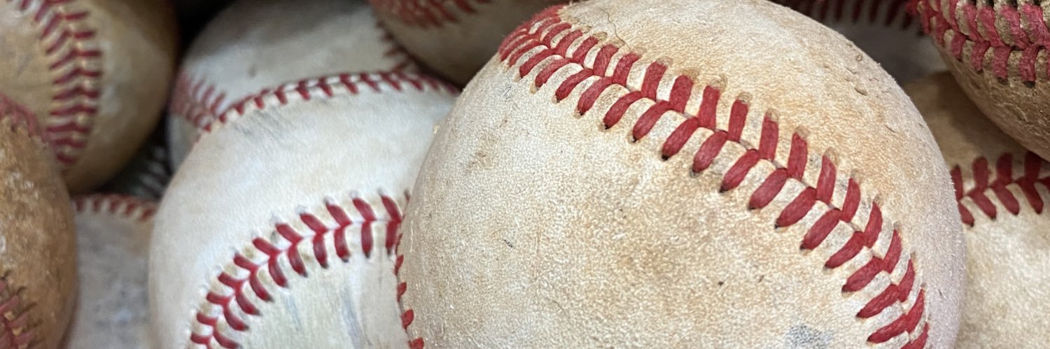 Elizabeth Chilson banner