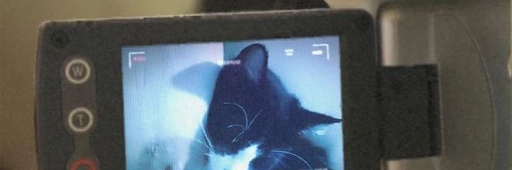 biellramox's profile banner image