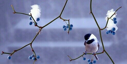 seeba_j's profile banner image