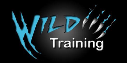 HanWildtraining's profile banner image
