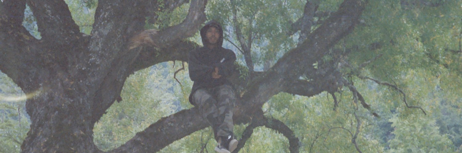 niqloma's profile banner image