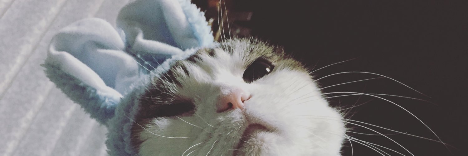 halbel's profile banner image