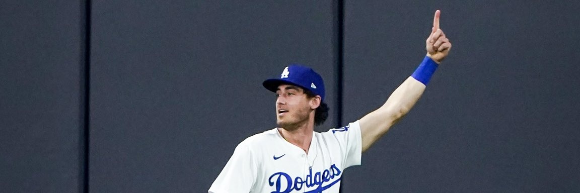 FW Fire Baseball banner