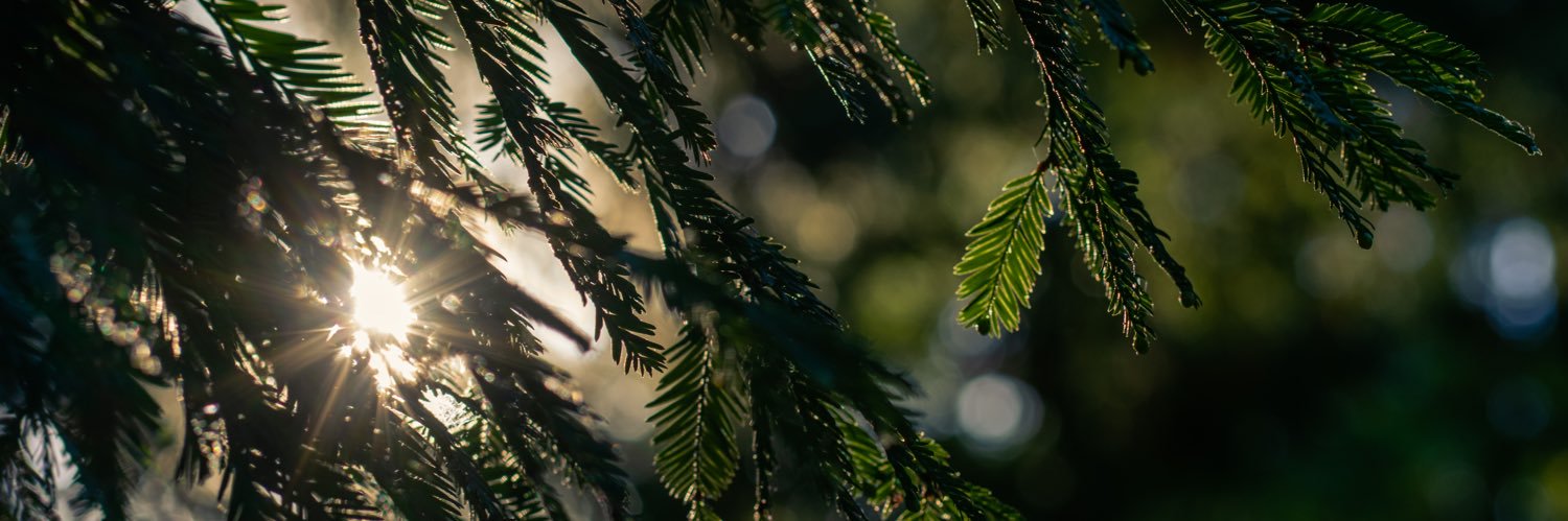 broxtronix's profile banner image
