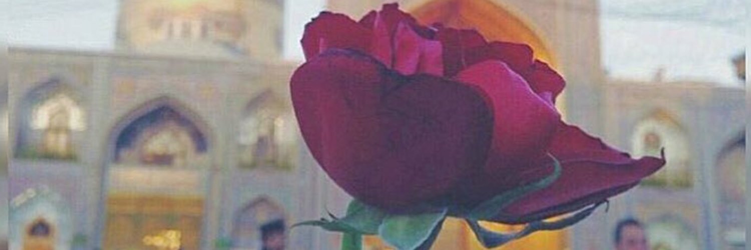 hanen_kn's profile banner image