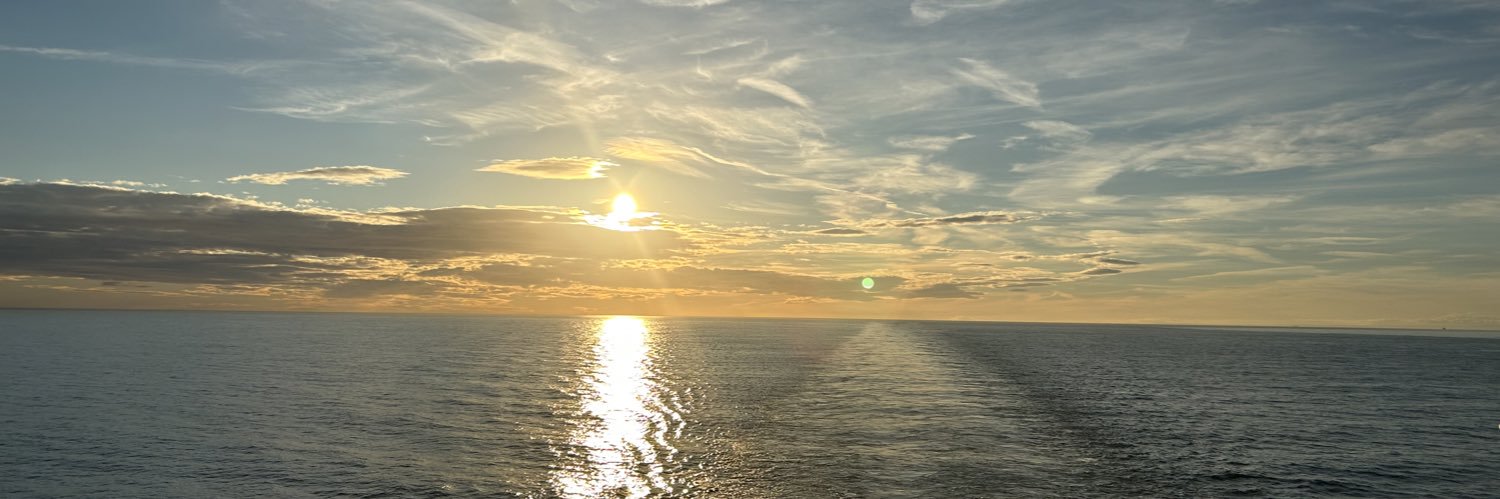 fawdonblackcat's profile banner image
