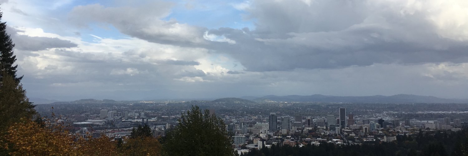 Pavan Thanai N. S banner