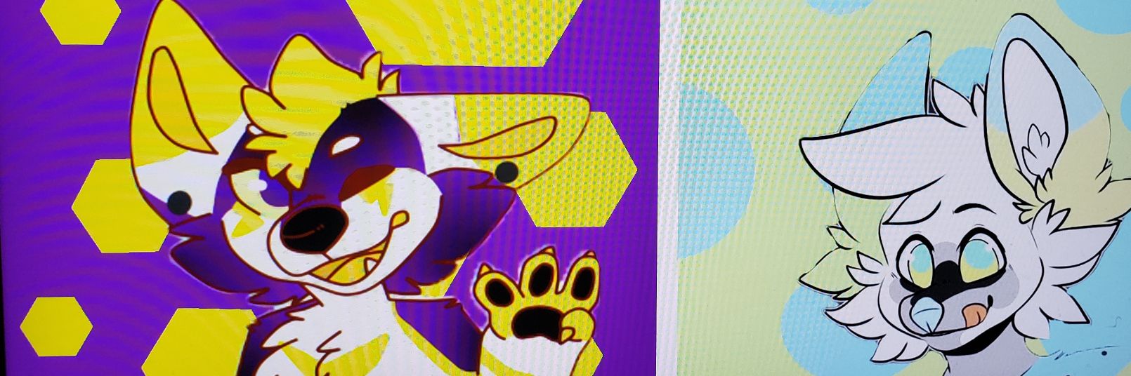 Stormi_the_husky banner