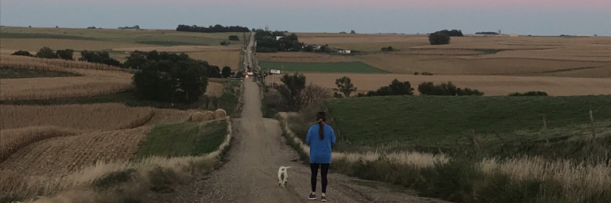 DanikaTindall's profile banner image