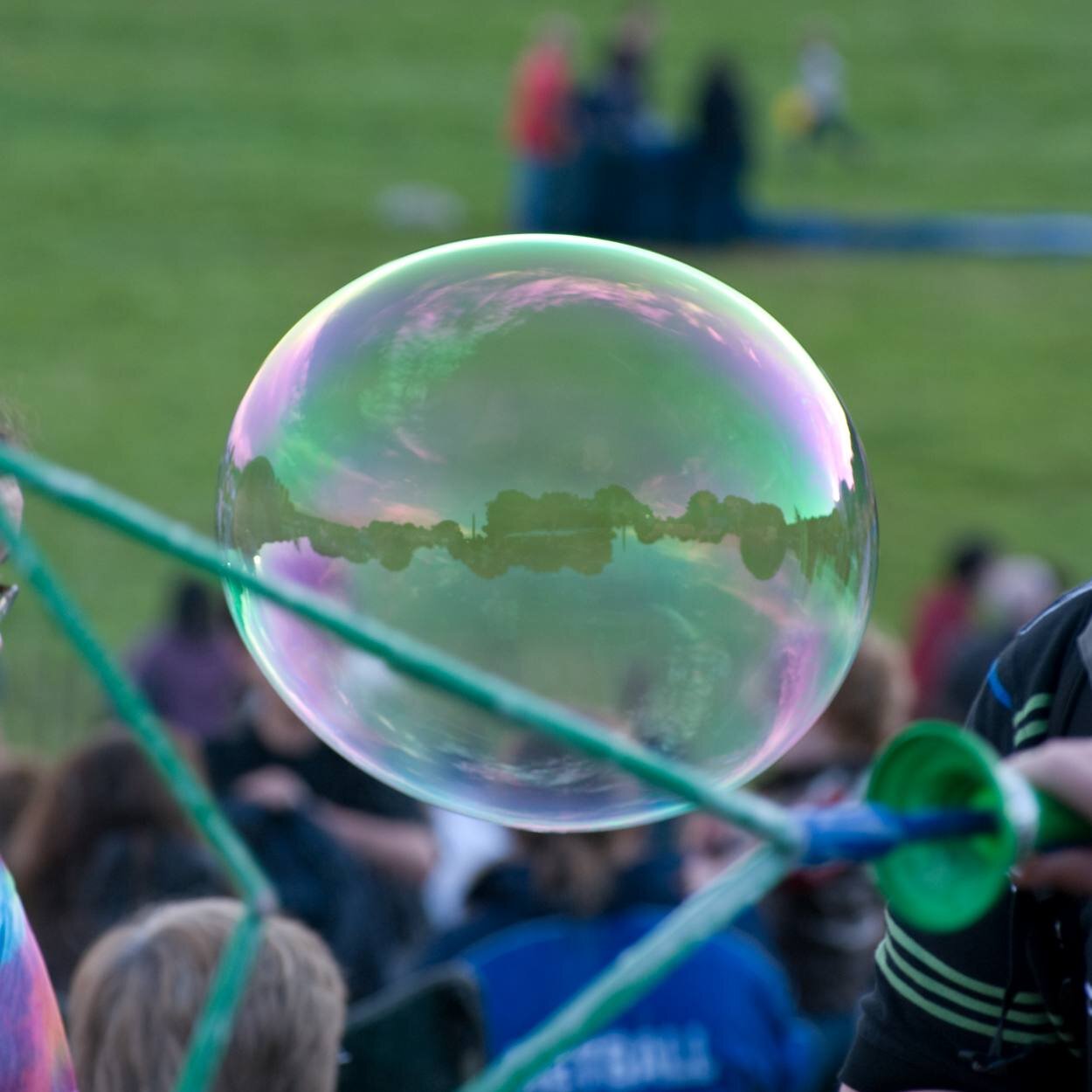 David Roberts banner