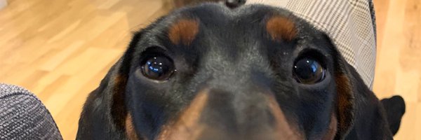 mjbarry101 Profile Banner