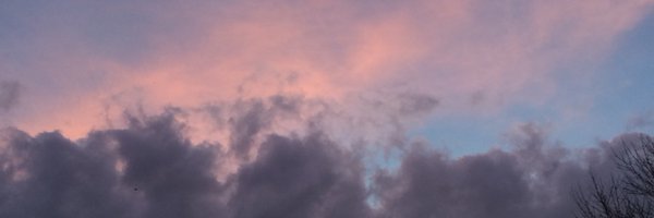 ohnotaro Profile Banner