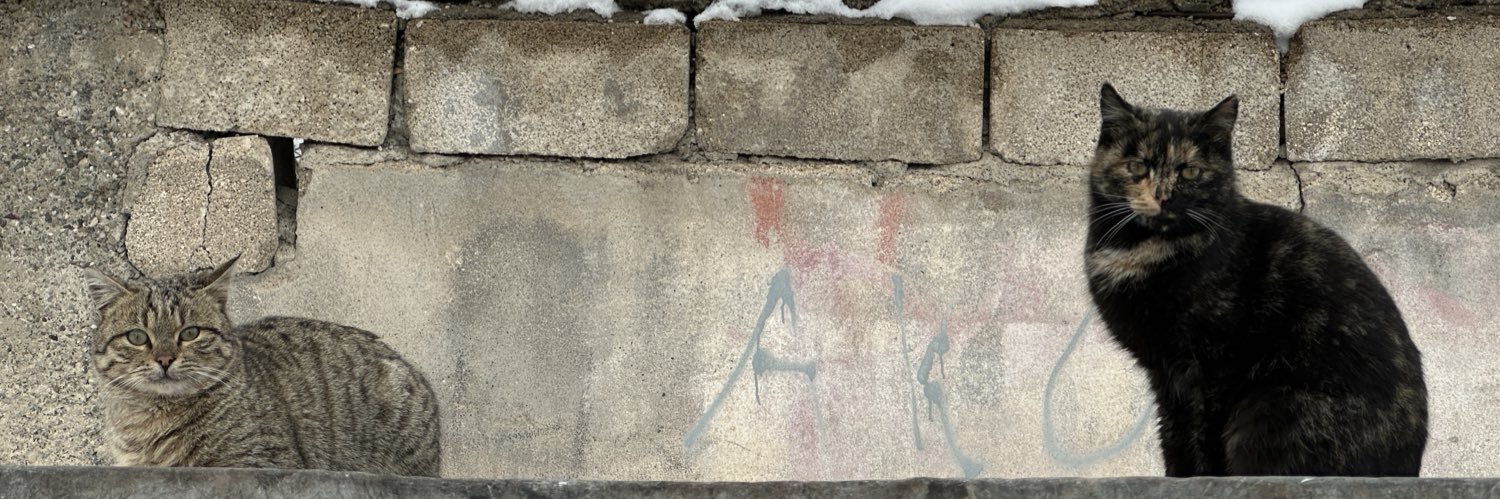 Noêsis noêseôs banner