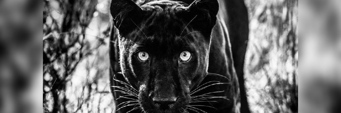 ainhoacamacho26's profile banner image