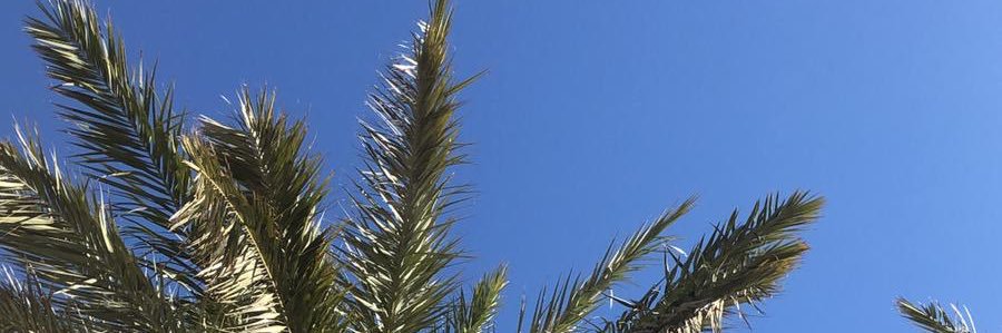 EllieMay banner