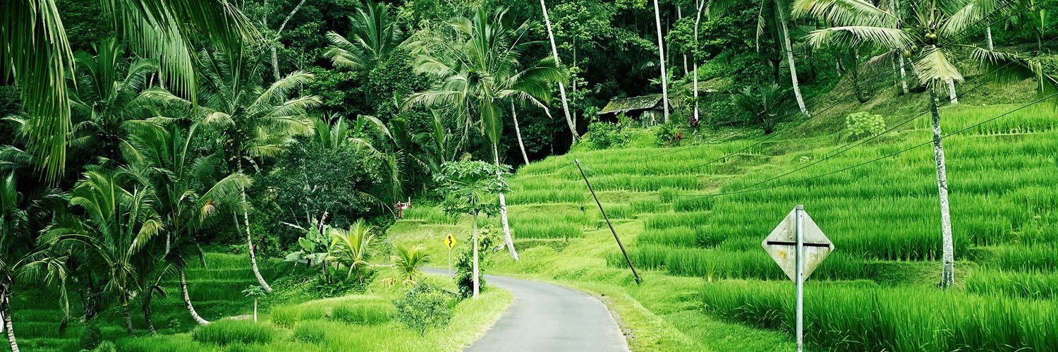 David van Iersel banner