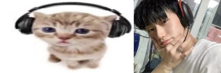 isaniwf's profile banner image