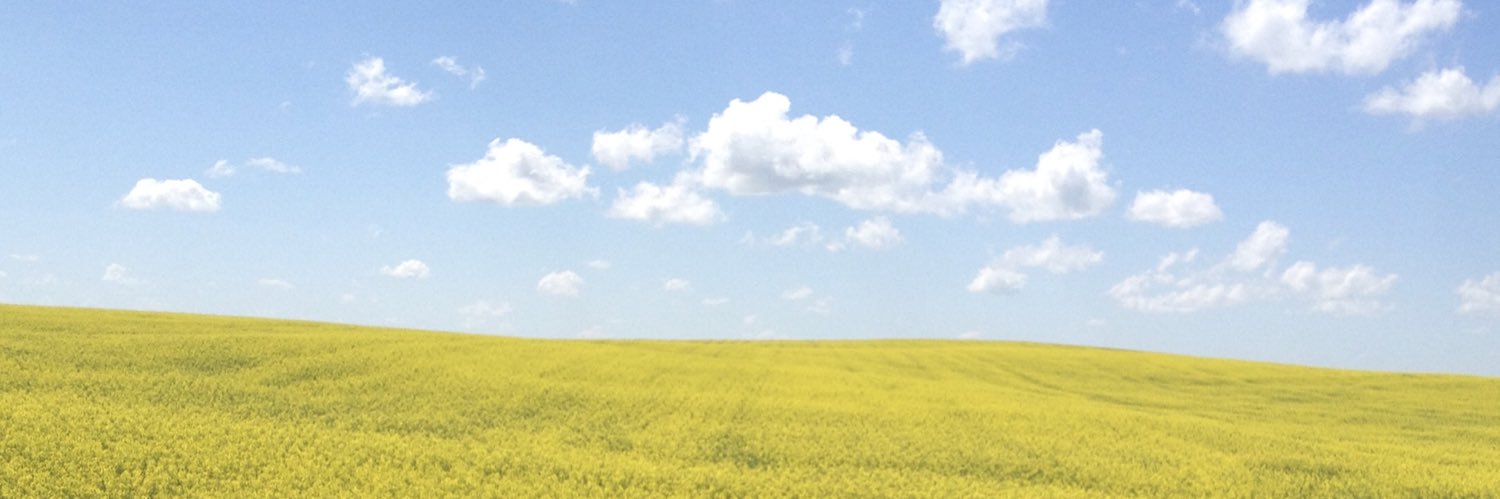 Mandy Archdekin banner