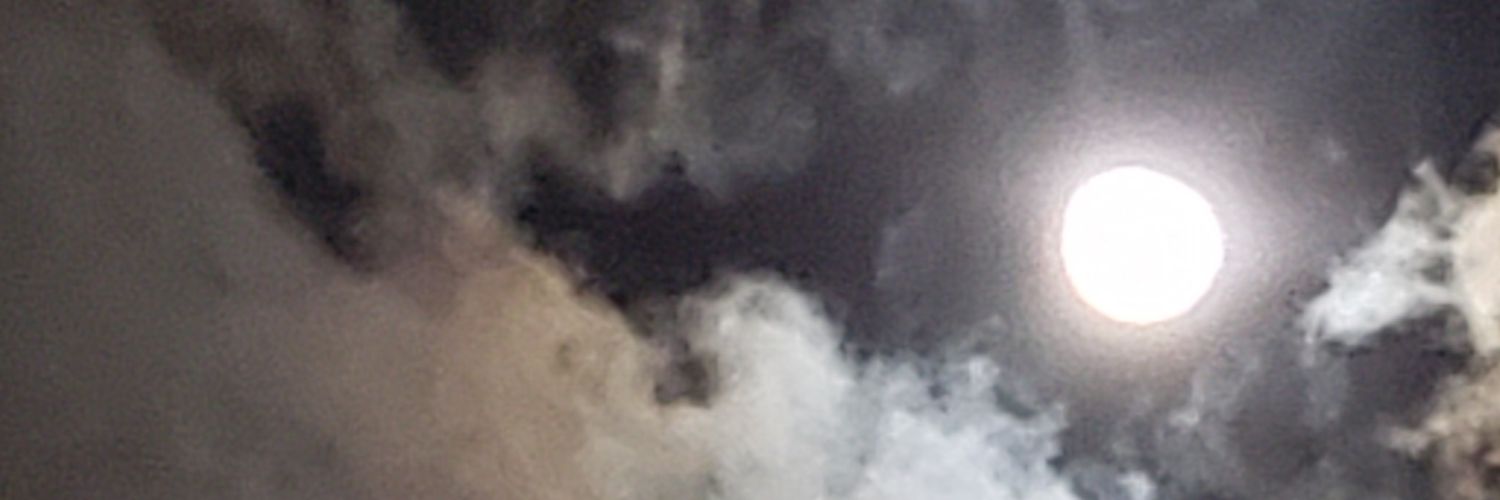sin_leo_'s profile banner image
