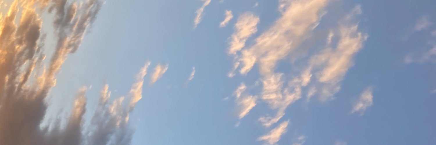 calm_lasagna's profile banner image