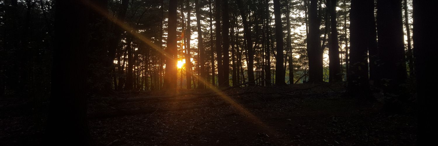 DrewQuantum's profile banner image