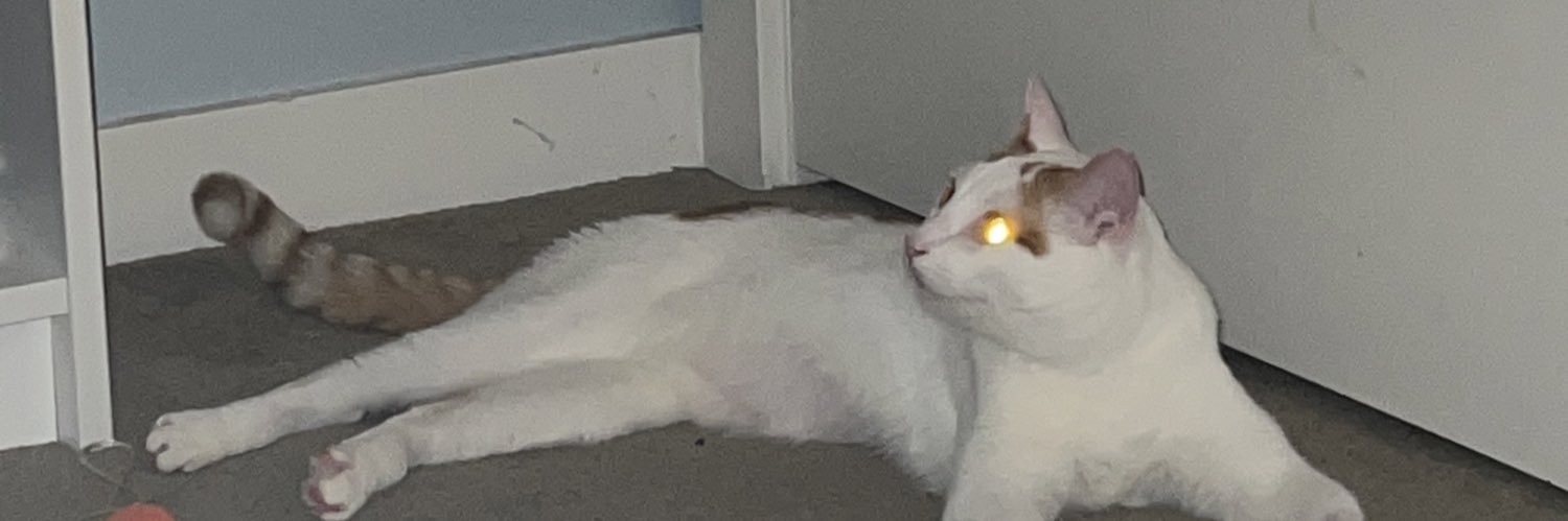 the_geminist's profile banner image