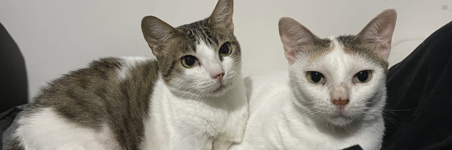 Reema 🍭☀️ banner