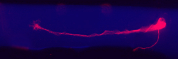 w_huang88 Profile Banner