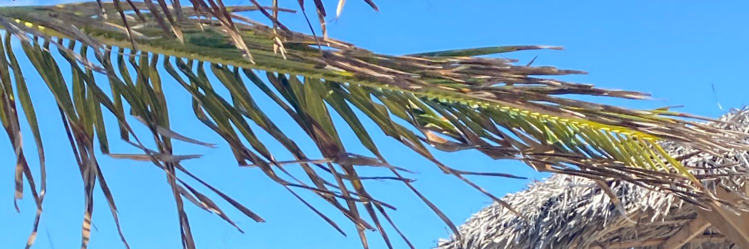 aaford_'s profile banner image