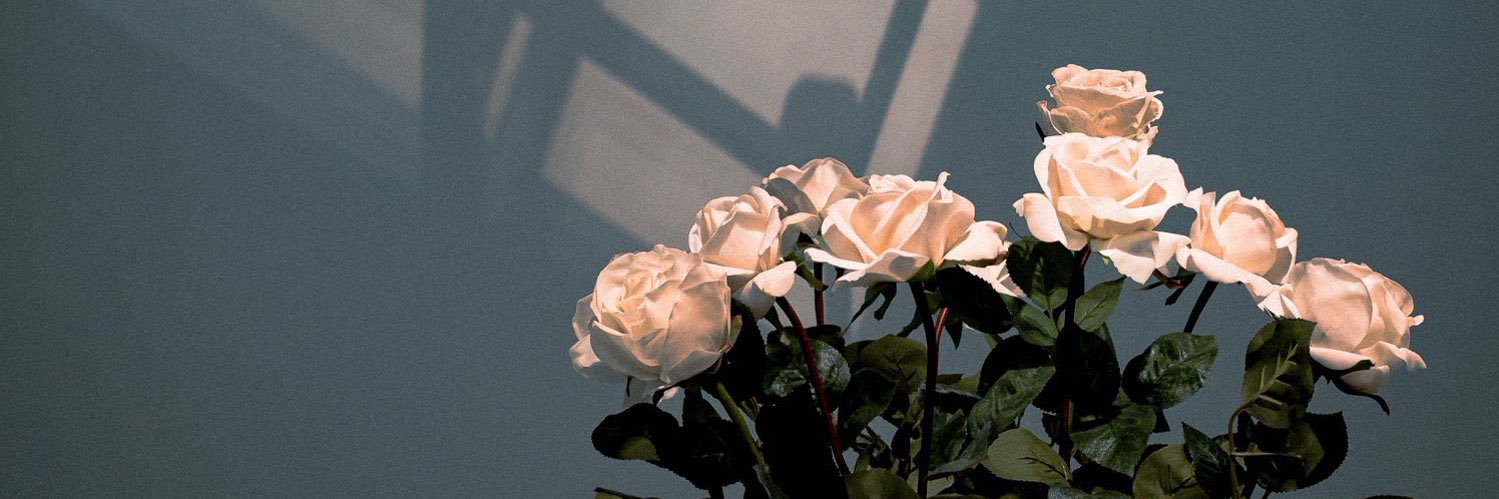 iireemutlu's profile banner image