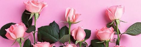 cocobaggs's profile banner image
