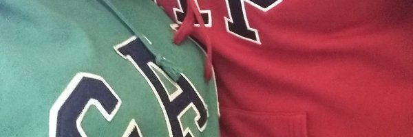 falsobohemio Profile Banner