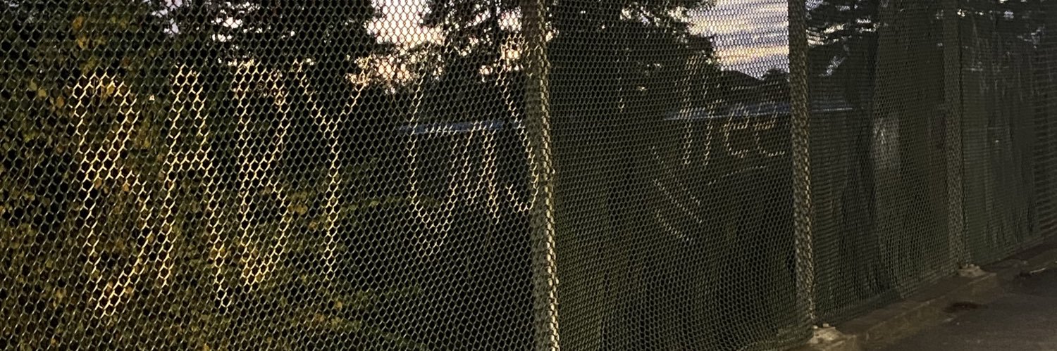 Sierra (Loops) banner