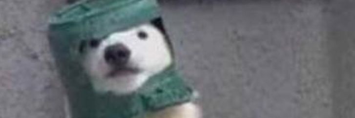thepineconeguy's profile banner image