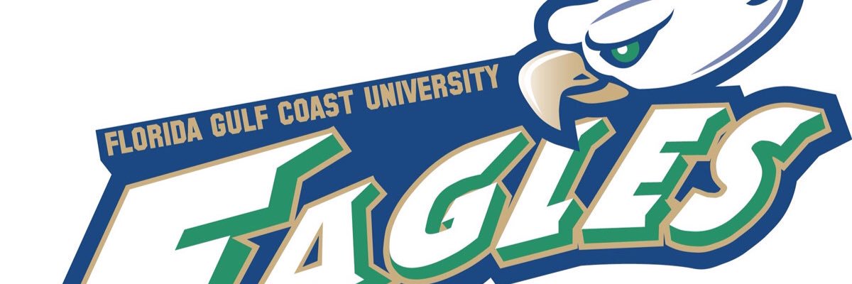 LIG_FGCU's profile banner image