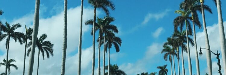 piesliced's profile banner image