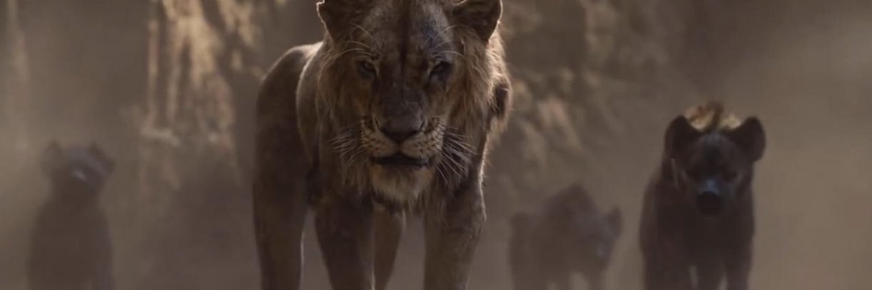 Bryn Schoonover banner