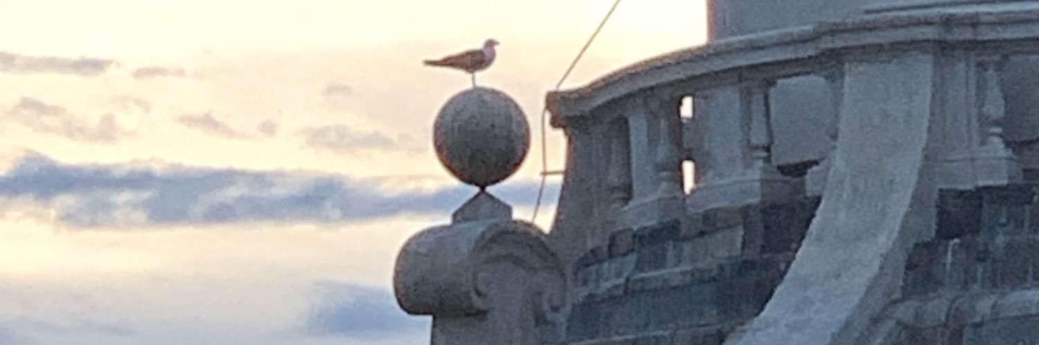traderjean's profile banner image
