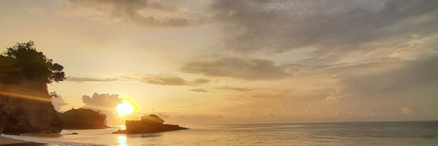 PriLLySyeren's profile banner image