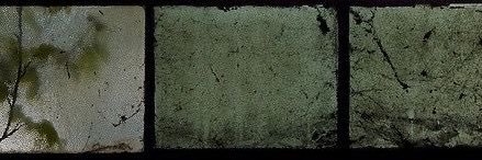 deermollars's profile banner image