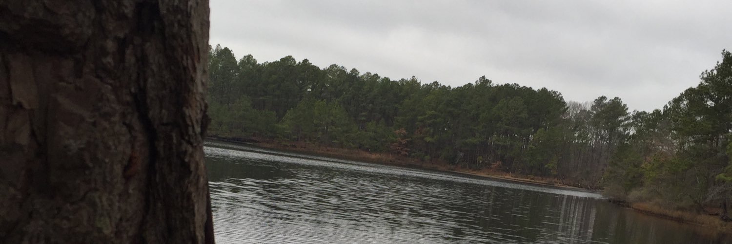 nathan____2's profile banner image
