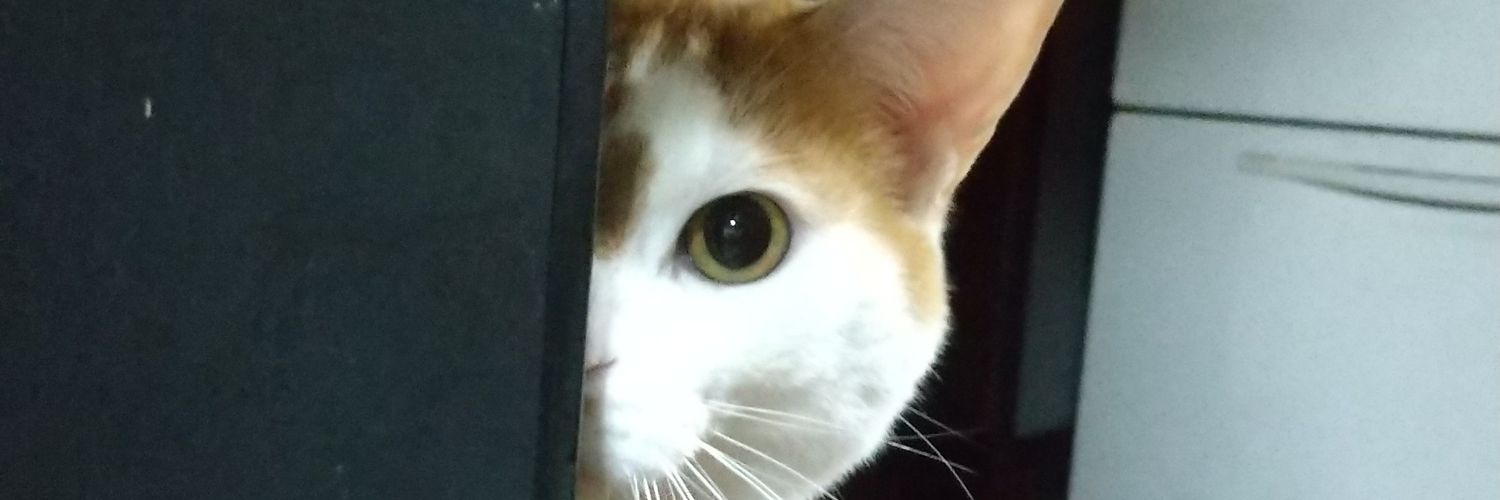 Reon_0609's profile banner image