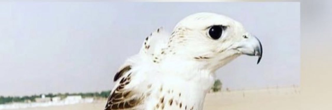 طلال العنزي banner