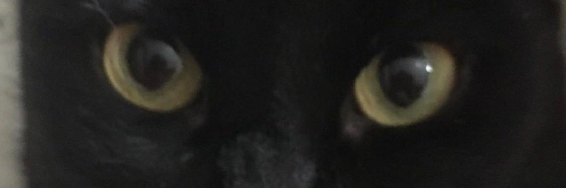 liskjfd's profile banner image