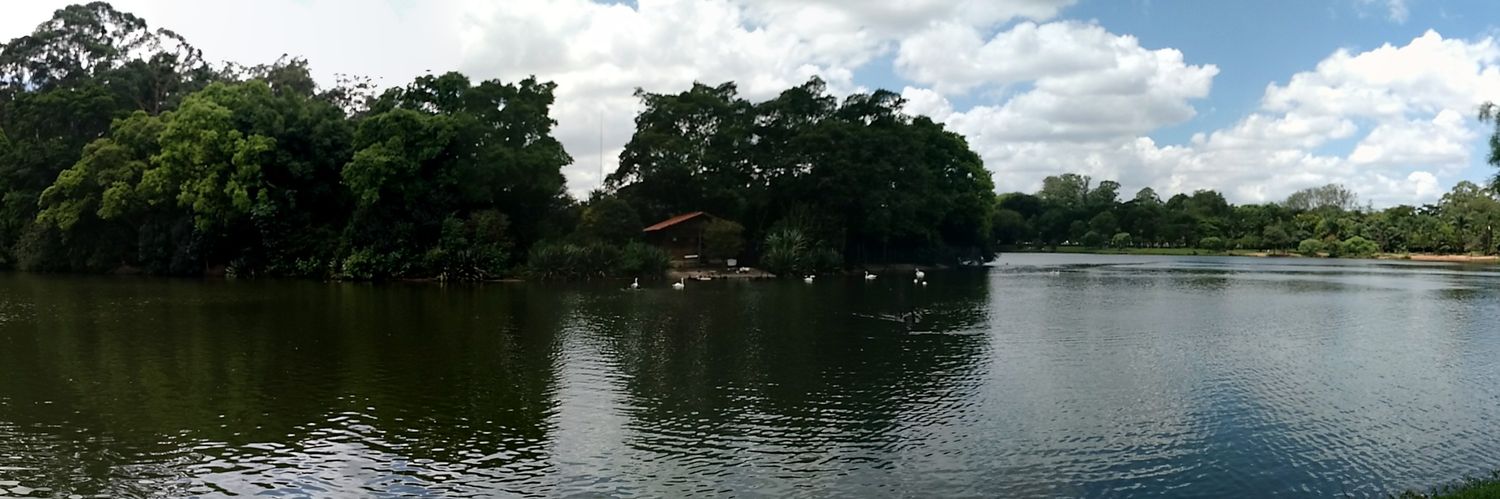 closiqueiras's profile banner image