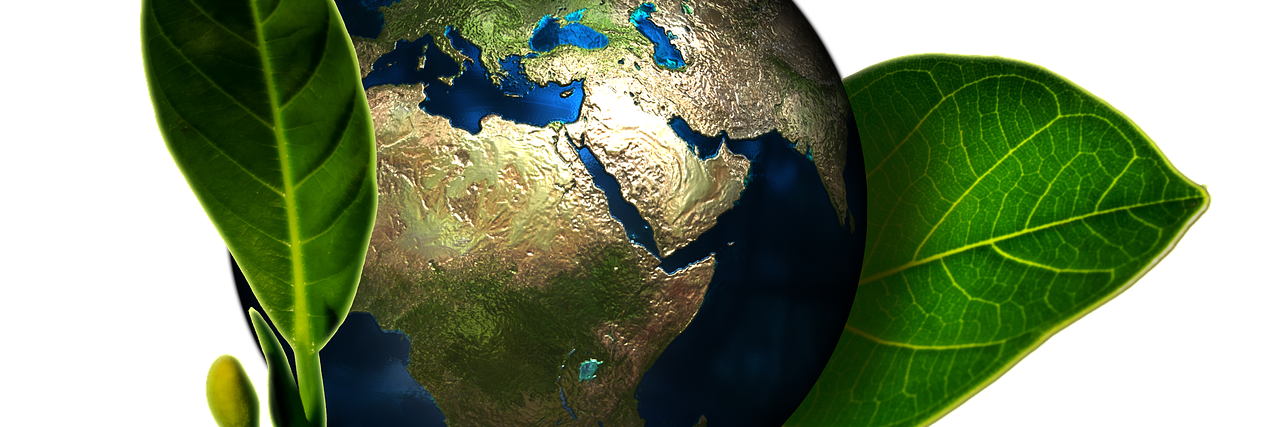 ill_policy's profile banner image