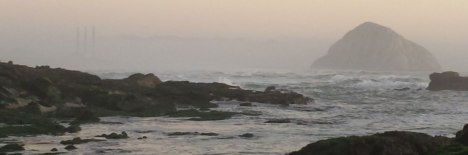 James Burroughs banner